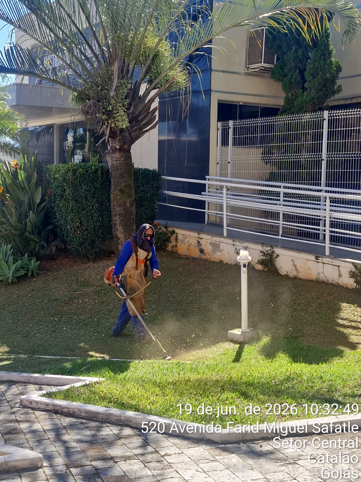 Manutenção de área verde