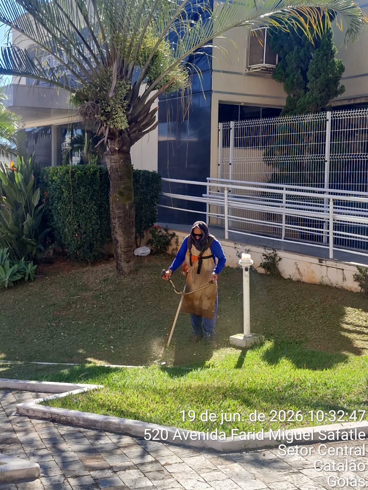 Profissional realizando jardinagem